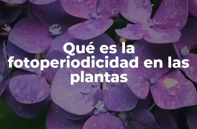 Qué es la Fotoperiodicidad en las Plantas