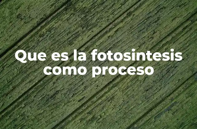 Que es la Fotosintesis como Proceso