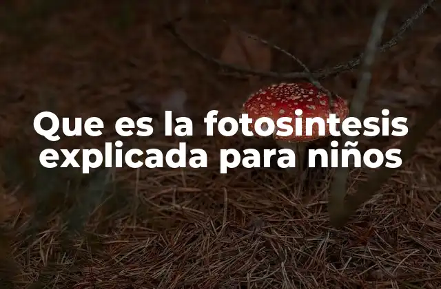 Que es la Fotosintesis Explicada para Niños