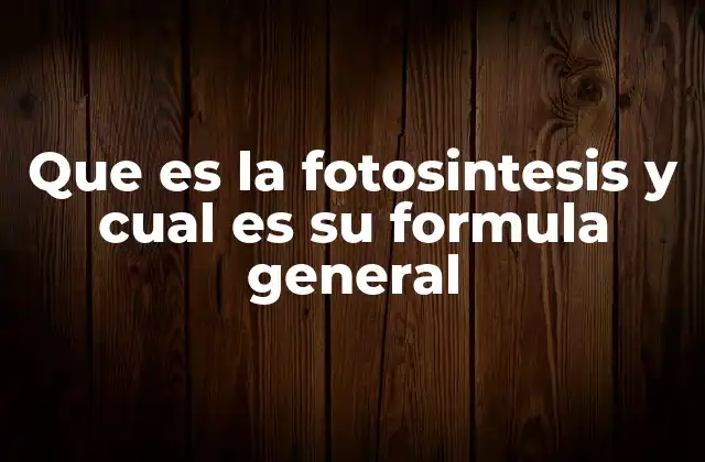 Que es la Fotosintesis y Cual es Su Formula General