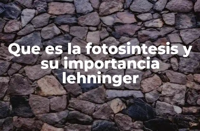 Que es la Fotosintesis y Su Importancia Lehninger