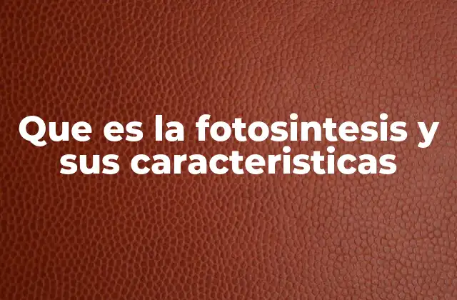 Que es la Fotosintesis y Sus Caracteristicas