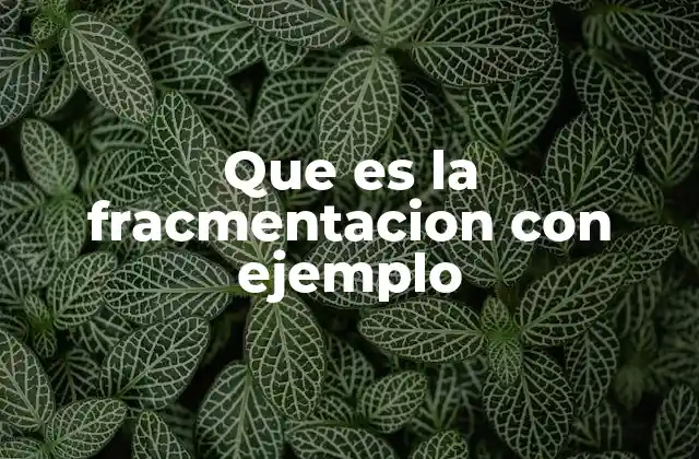 Que es la Fracmentacion con Ejemplo