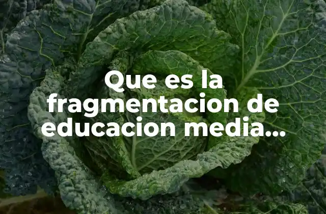 Que es la Fragmentacion de Educacion Media Superior