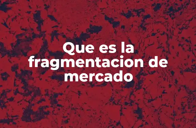 Que es la Fragmentacion de Mercado