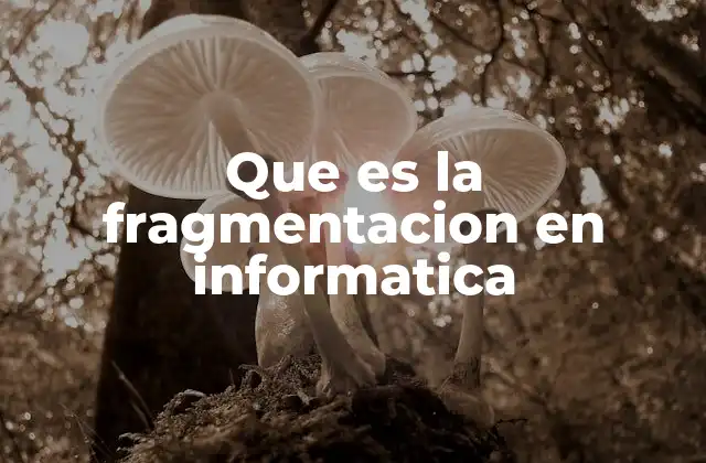 Que es la Fragmentacion en Informatica 2 Cómo afecta la fragmentación al rendimiento del sistema