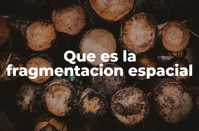 Que es la Fragmentacion Espacial 2 La evolución de los espacios fragmentados