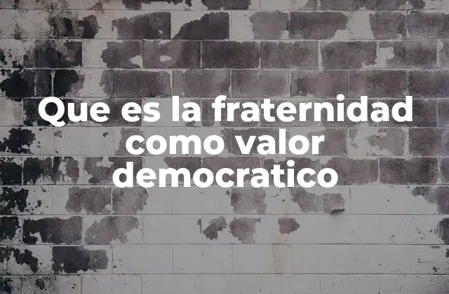 La fraternidad como fundamento de la convivencia democrática