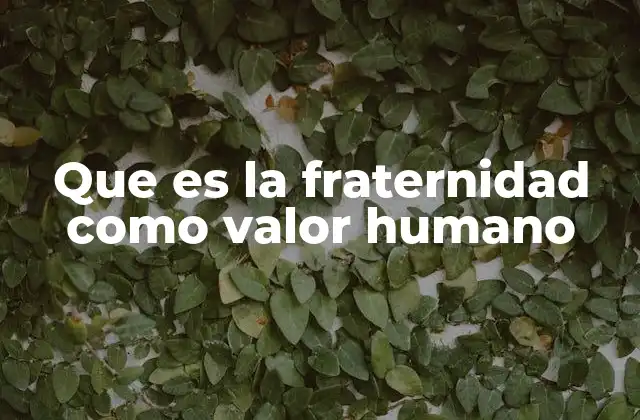 Que es la Fraternidad como Valor Humano