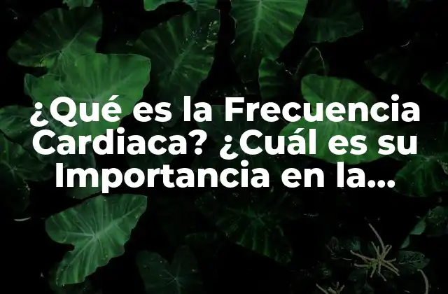 ¿qué es la Frecuencia Cardiaca? ¿cuál es Su Importancia en la Salud?