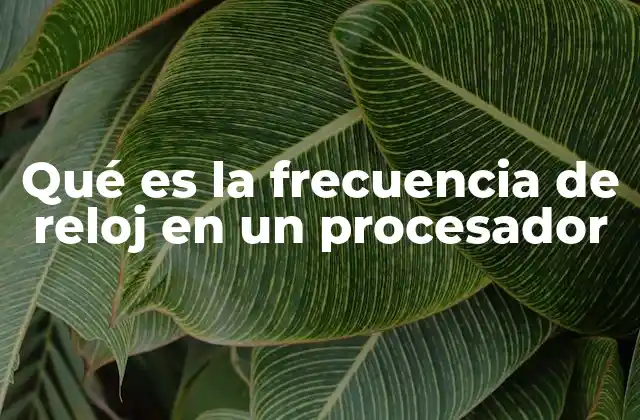 Qué es la Frecuencia de Reloj en un Procesador