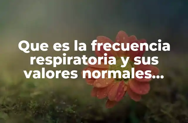 Que es la Frecuencia Respiratoria y Sus Valores Normales Adulto