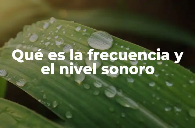 Qué es la Frecuencia y el Nivel Sonoro