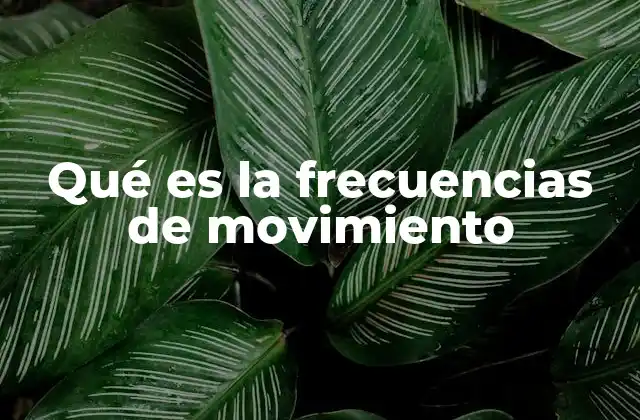 Qué es la Frecuencias de Movimiento