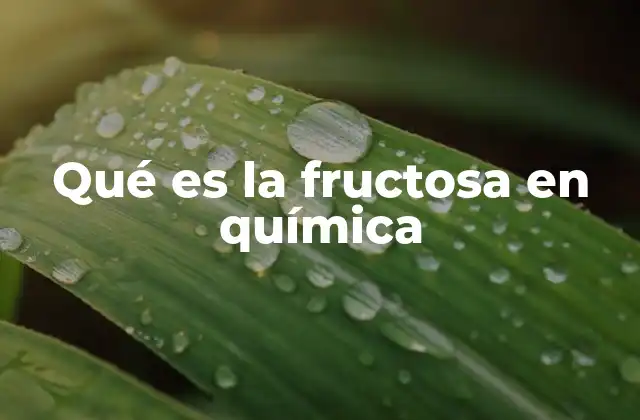 Qué es la Fructosa en Química 2 La fructosa en el contexto de la bioquímica