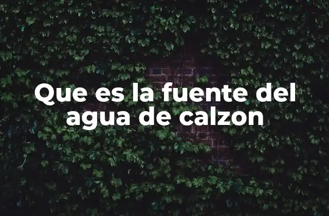 Que es la Fuente Del Agua de Calzon