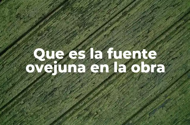 Que es la Fuente Ovejuna en la Obra