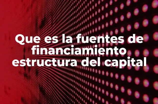 Que es la Fuentes de Financiamiento Estructura Del Capital