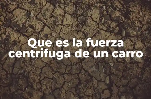 El comportamiento dinámico de los vehículos en curvas