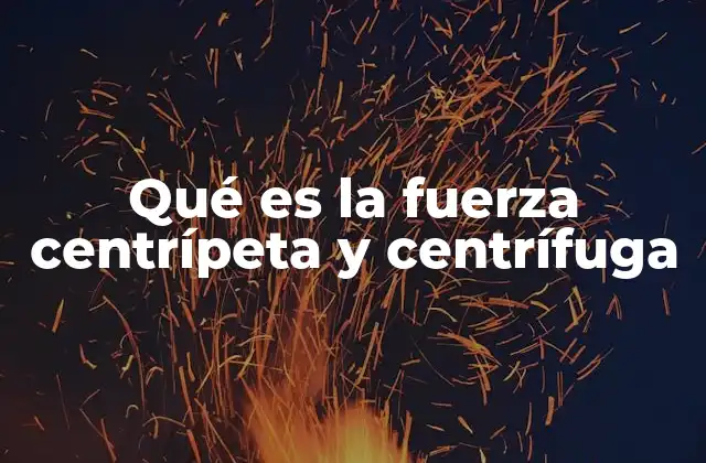 Qué es la Fuerza Centrípeta y Centrífuga
