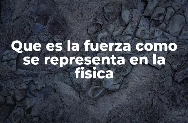 Que es la Fuerza como Se Representa en la Fisica