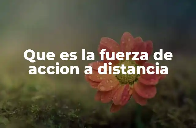 Que es la Fuerza de Accion a Distancia