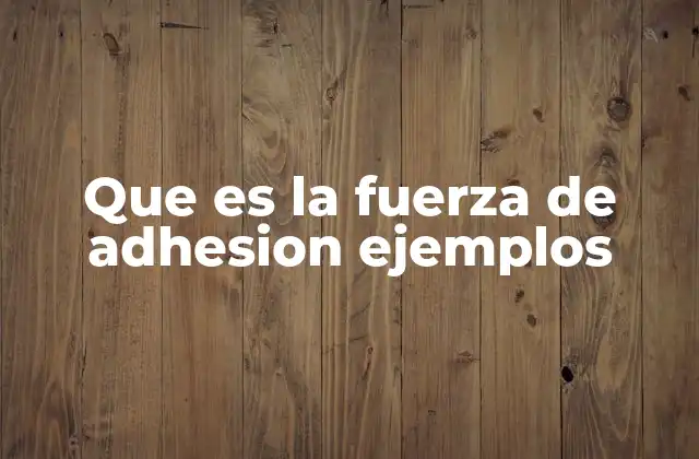 Que es la Fuerza de Adhesion Ejemplos