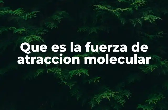 Que es la Fuerza de Atraccion Molecular 2 Cómo las fuerzas intermoleculares afectan el comportamiento de las sustancias