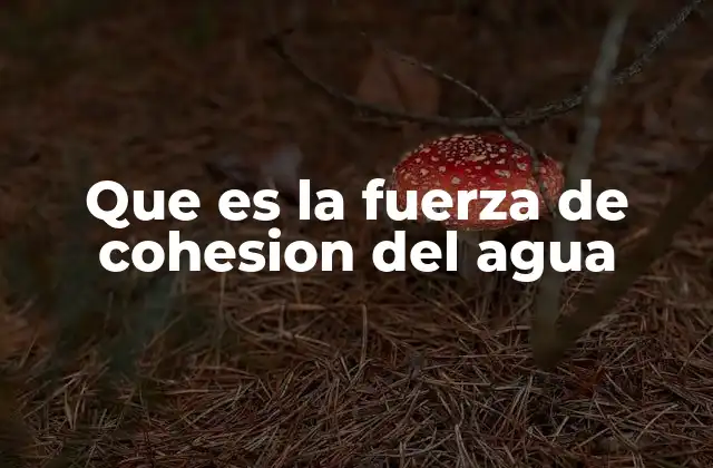 Que es la Fuerza de Cohesion Del Agua