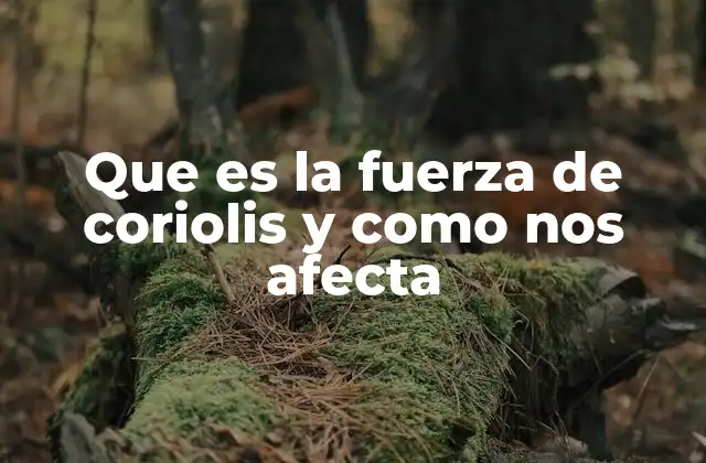 Que es la Fuerza de Coriolis y como Nos Afecta 2 ¿Cómo afecta la fuerza de Coriolis al clima?