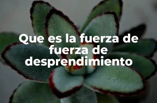 Que es la Fuerza de Fuerza de Desprendimiento