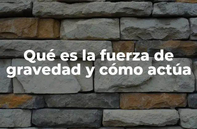 La gravedad como motor del cosmos