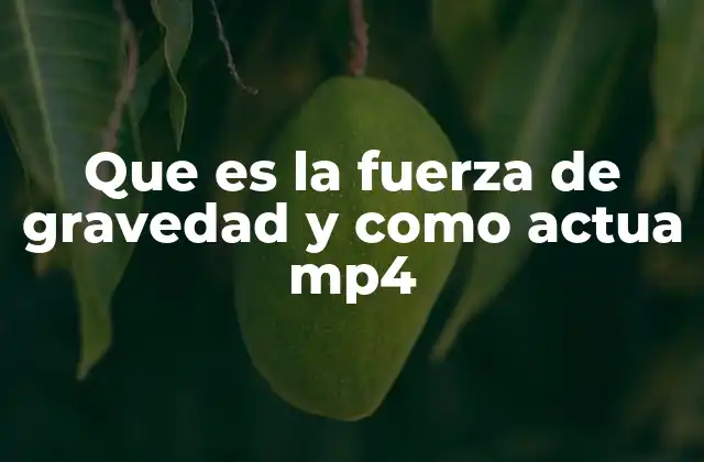 Que es la Fuerza de Gravedad y como Actua Mp4