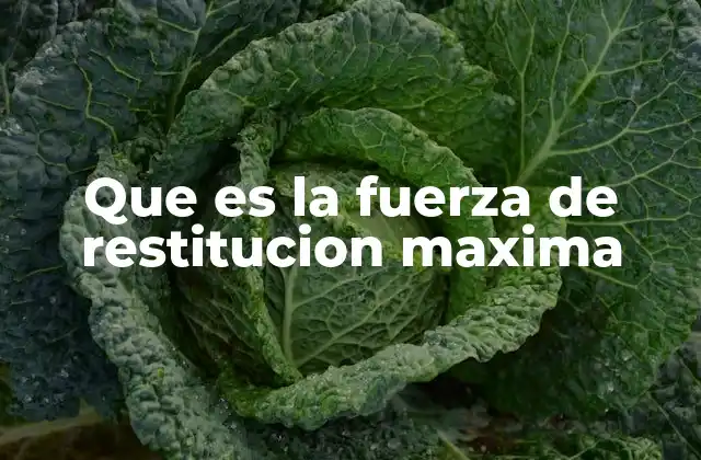 Que es la Fuerza de Restitucion Maxima