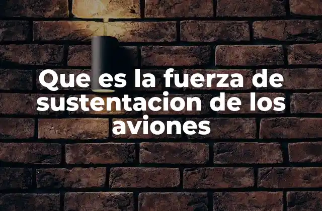 Que es la Fuerza de Sustentacion de los Aviones