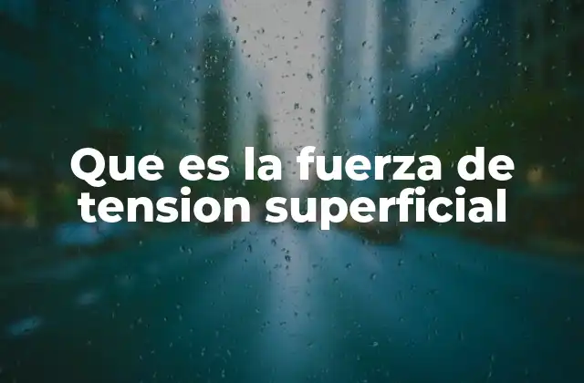 Que es la Fuerza de Tension Superficial