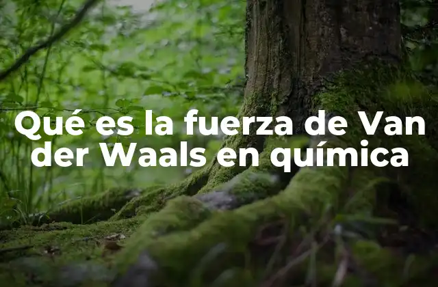 Qué es la Fuerza de Van Der Waals en Química