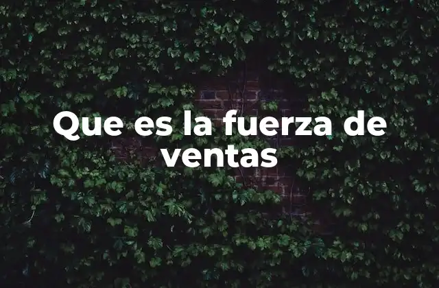 Que es la Fuerza de Ventas