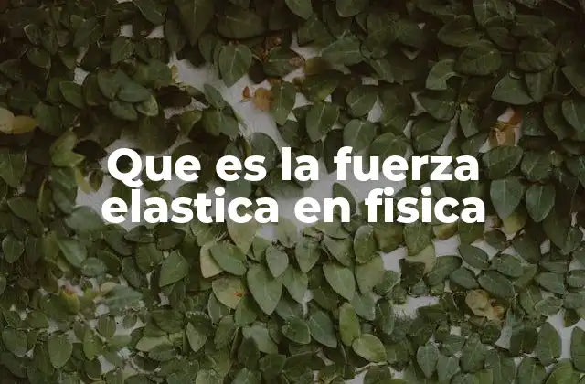 Que es la Fuerza Elastica en Fisica