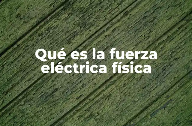 Qué es la Fuerza Eléctrica Física