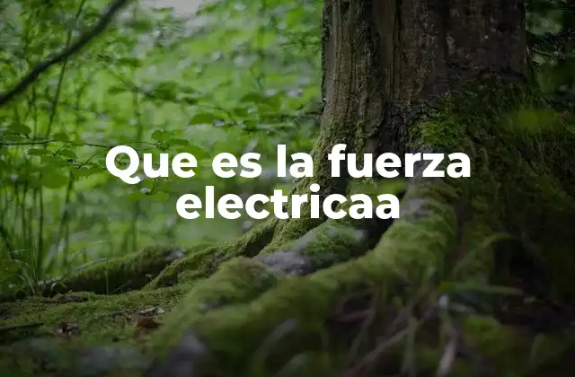Que es la Fuerza Electricaa 2 La fuerza eléctrica y su papel en la naturaleza