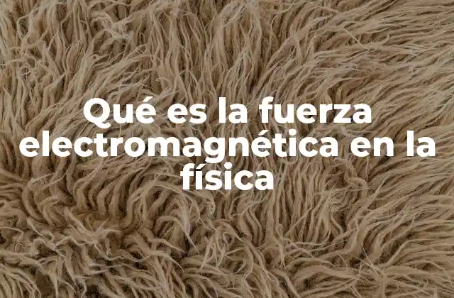 Qué es la Fuerza Electromagnética en la Física