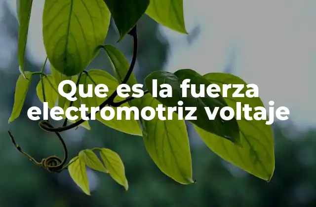 Que es la Fuerza Electromotriz Voltaje 2 El voltaje como motor de la energía eléctrica