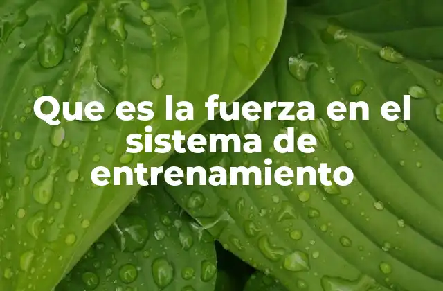 Que es la Fuerza en el Sistema de Entrenamiento