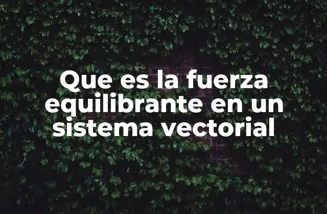 Que es la Fuerza Equilibrante en un Sistema Vectorial