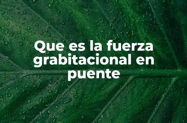 Que es la Fuerza Grabitacional en Puente