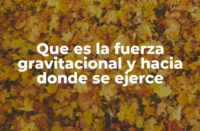 Que es la Fuerza Gravitacional y hacia Donde Se Ejerce