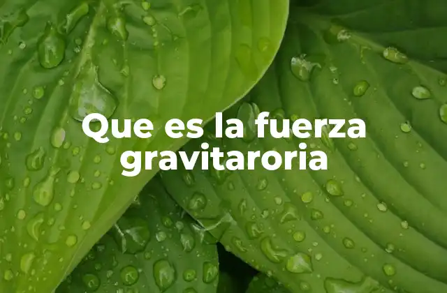 Que es la Fuerza Gravitaroria