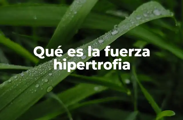 Qué es la Fuerza Hipertrofia