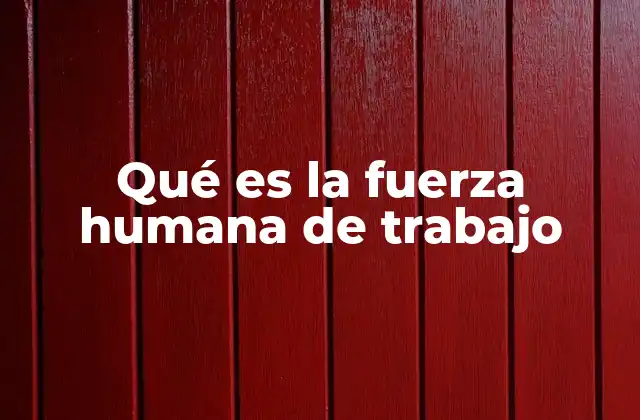 Qué es la Fuerza Humana de Trabajo
